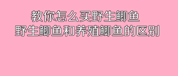 吃货都知道,野生鲫鱼的口感远远比养殖鲫鱼好,虽然价格稍微贵点,大部分人还是愿意买回家炖汤的