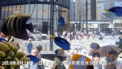 当地时间2018年8月25日,日本东京,主打冲绳海洋生物的2018年索尼水族馆展览举行,2