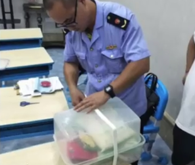 【继脚踩孩子脸,合肥一幼教衔接班再曝问题:食品过期,无办学资质】合肥网曝一幼教衔接班老师脚