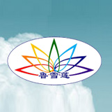 雪莲工程土工膜