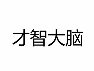 武汉盛和才智教育科技有限公司