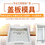 凯亚盖板模具