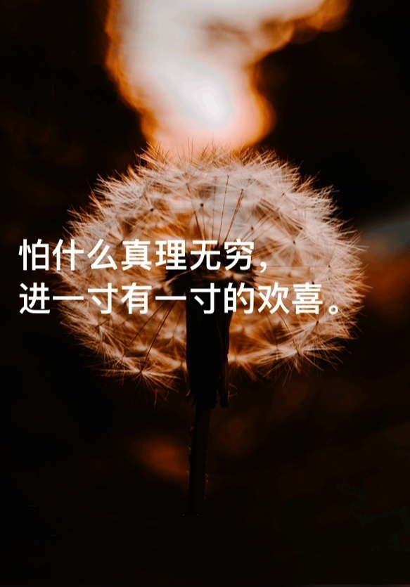 怕什么真理无穷 进一寸有一寸的欢喜#张艺洋