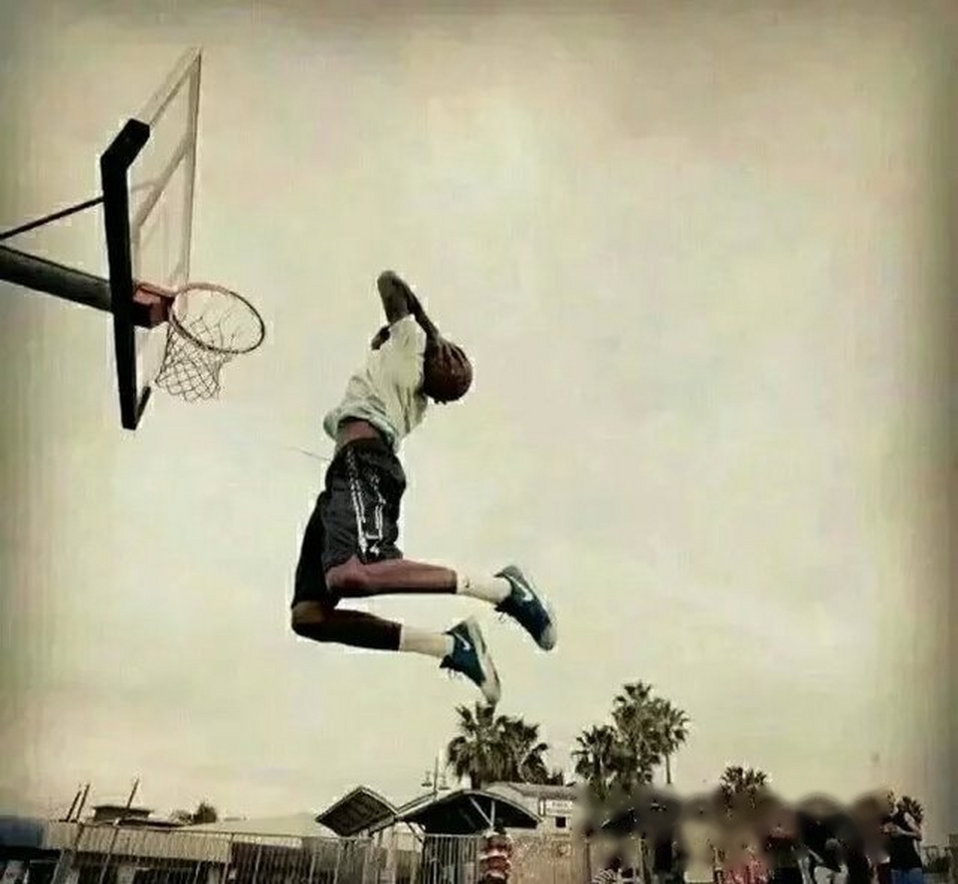 高清篮球头像,点赞自取!