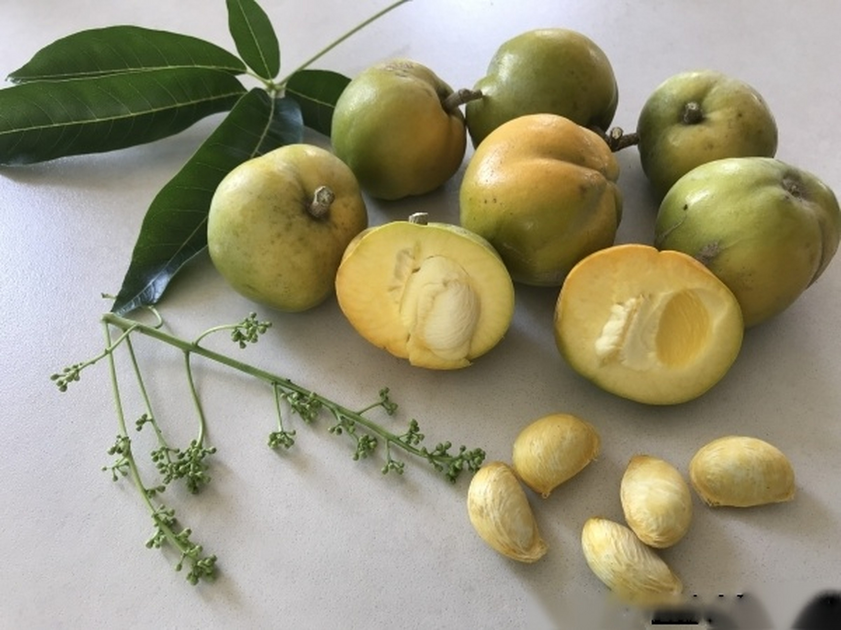 有一种叫冰淇淋水果(ice cream fruit)的,又名白柿(white sapote,白