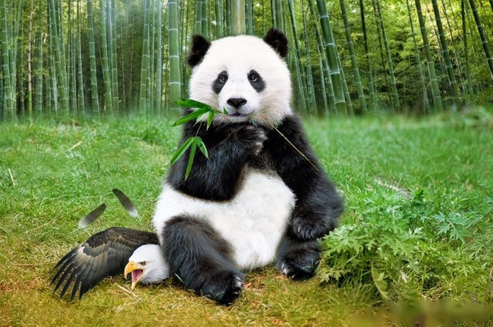 看到一张图,很有趣.i cant breathe!