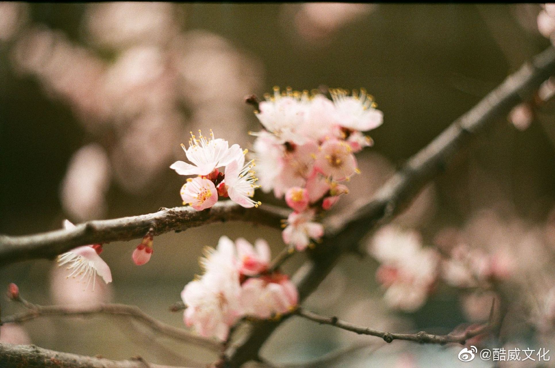 正如甘地所说:"我们所做的一切都是微不足道的,但重要的是我们去做了.