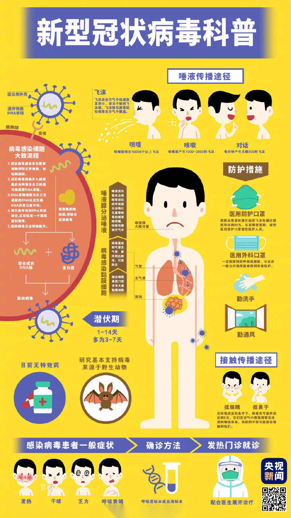 新冠肺炎病原体图片