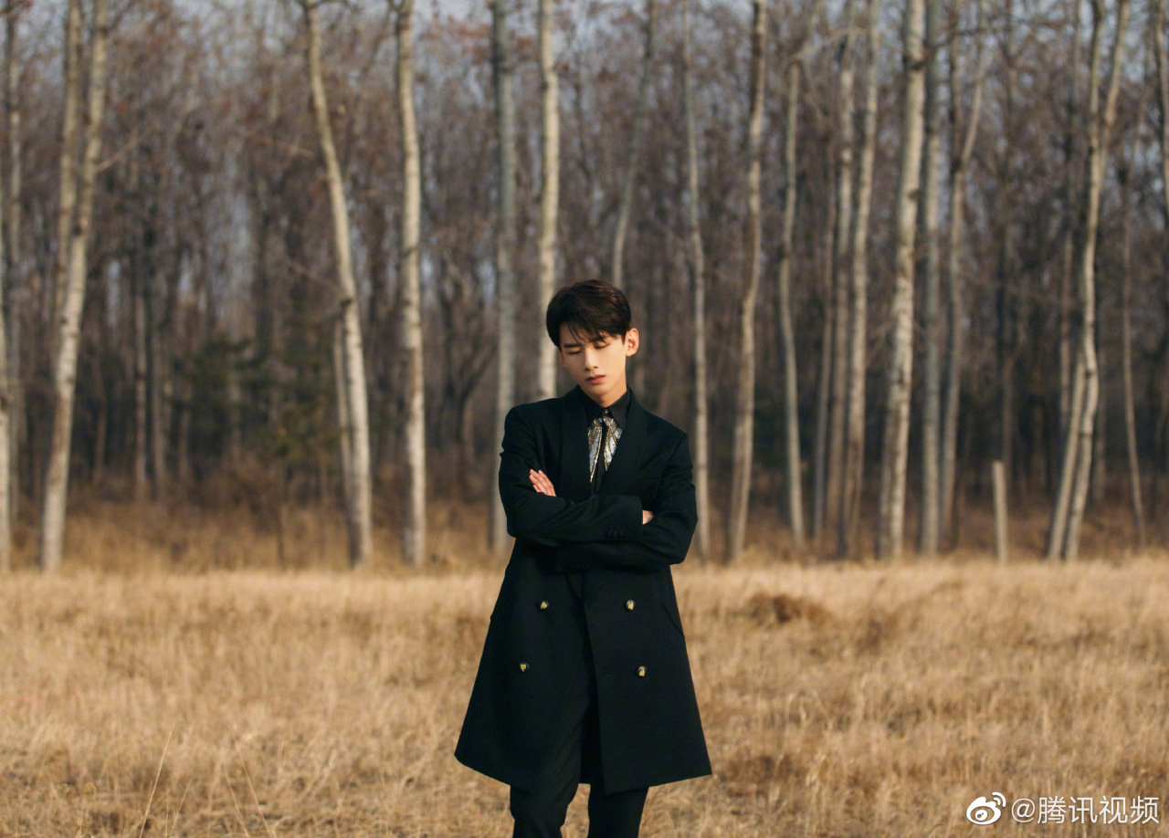 白敬亭氛围感大片  演员@白敬亭 今日出席2020国剧盛典 ,初冬大片