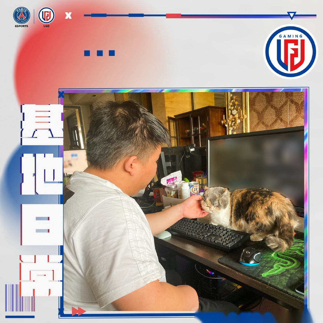 八师傅:好,就滚滚!