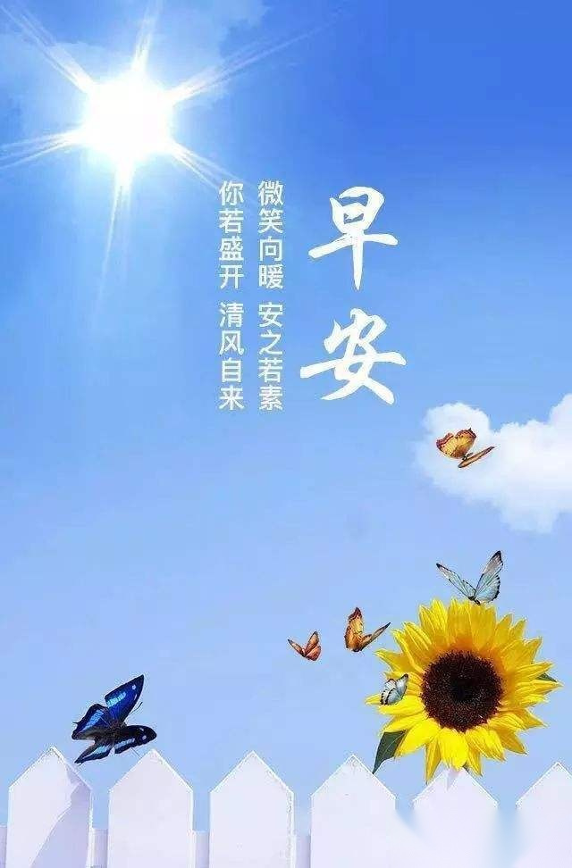 想要一个拥抱,一个久违的依靠,阳光正好微风不燥,喜欢看你微笑,和你的