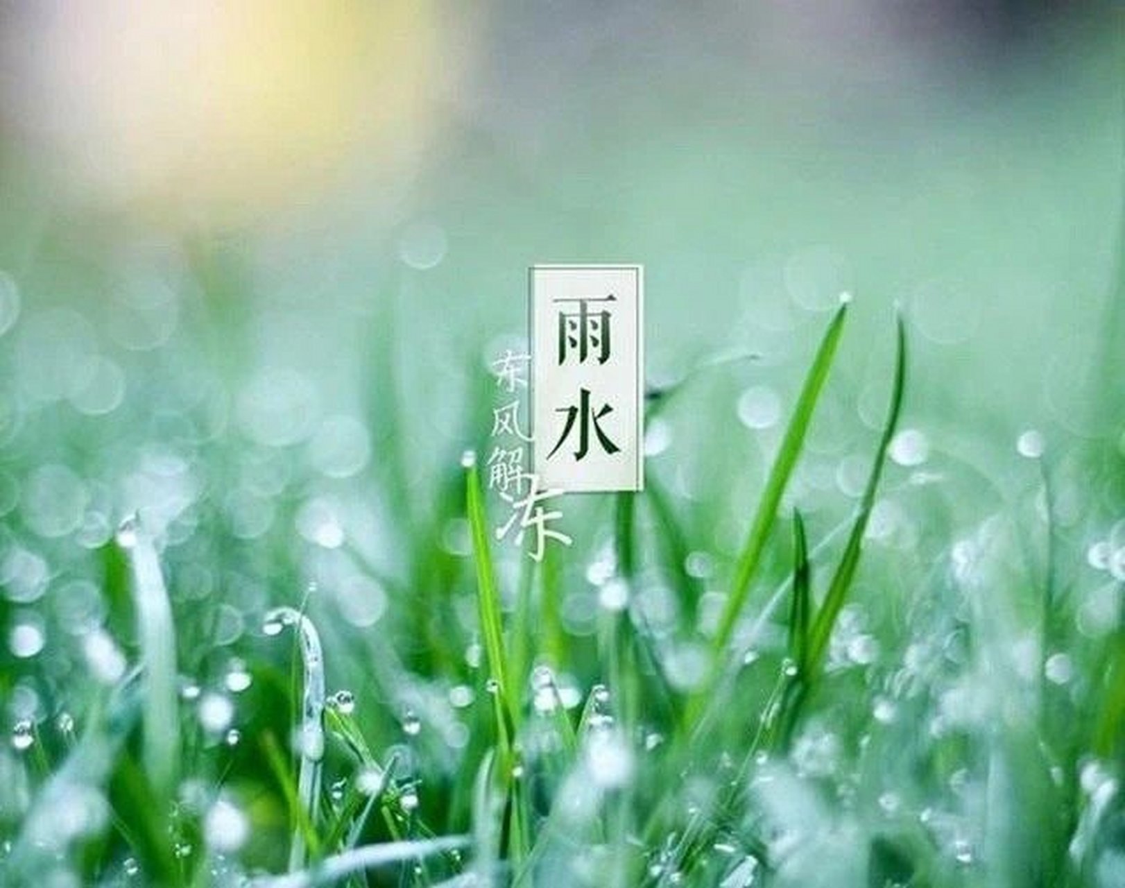 2021年2月18日 农历正月初七 星期四 雨水        有些人一年看不了几