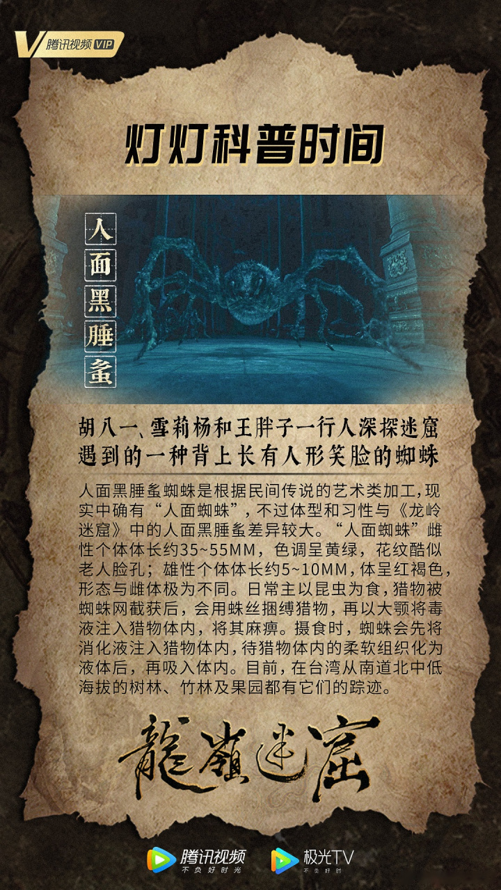 【灯灯科普时间】灯灯又来给大家涨姿势了,人面黑腄蚃这种骇人生物