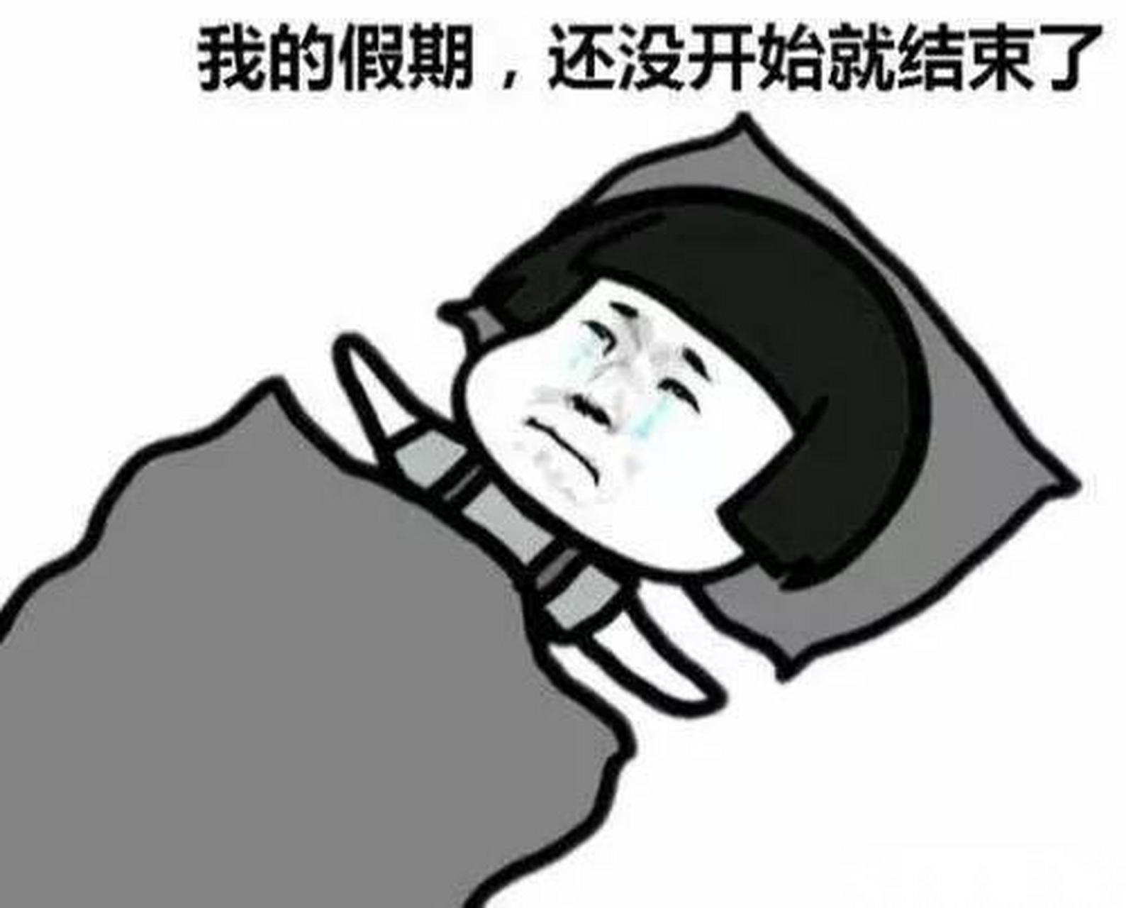 总觉得假期还没开始呢,就结束了!