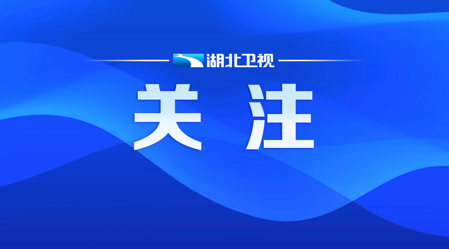 【湖北省纪委监委通报9起违反疫情防控工作纪律规定,履职履责不力典型