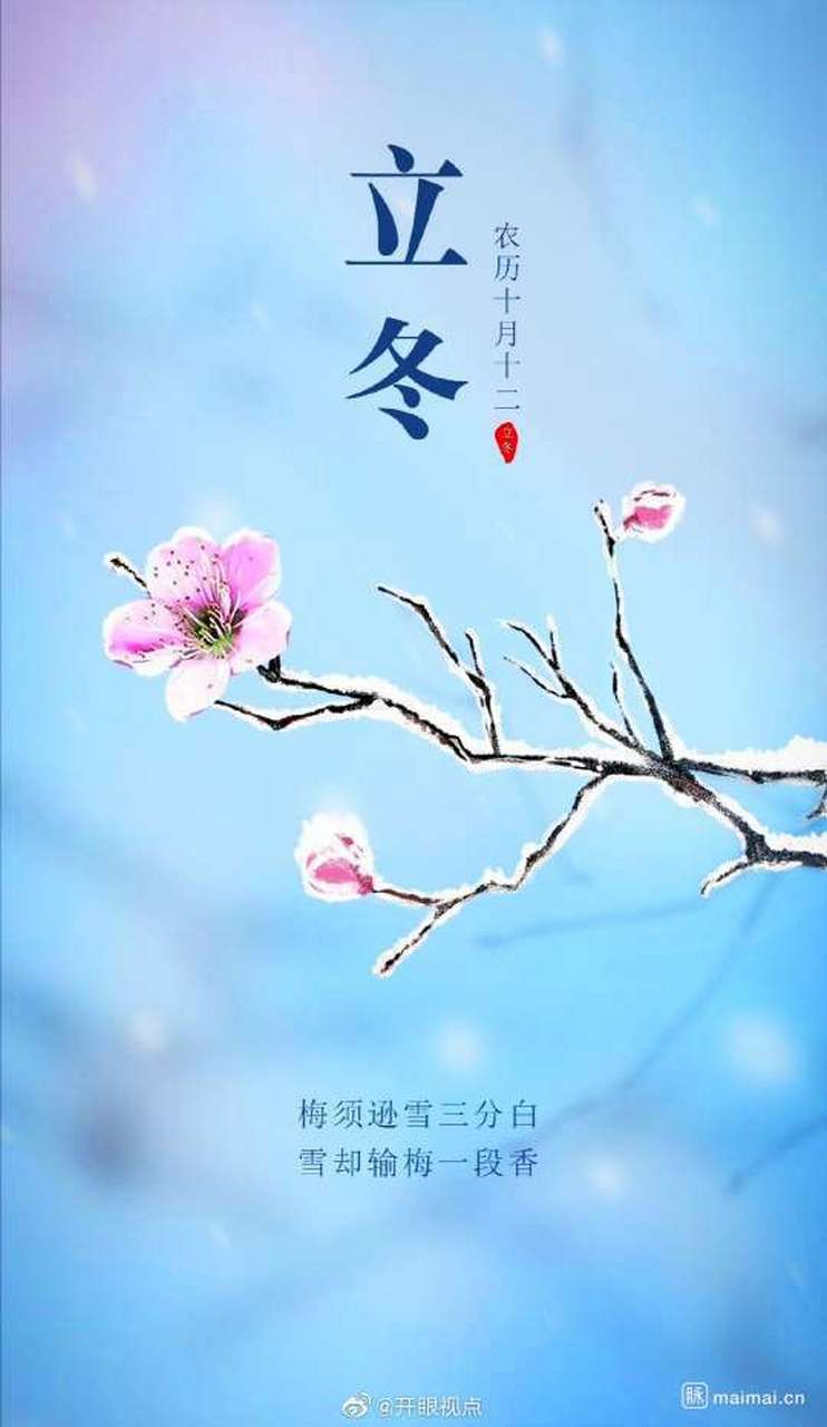 此去一路向寒 愿心怀暖阳,砥砺前行 愿面朝大海,春暖花开!