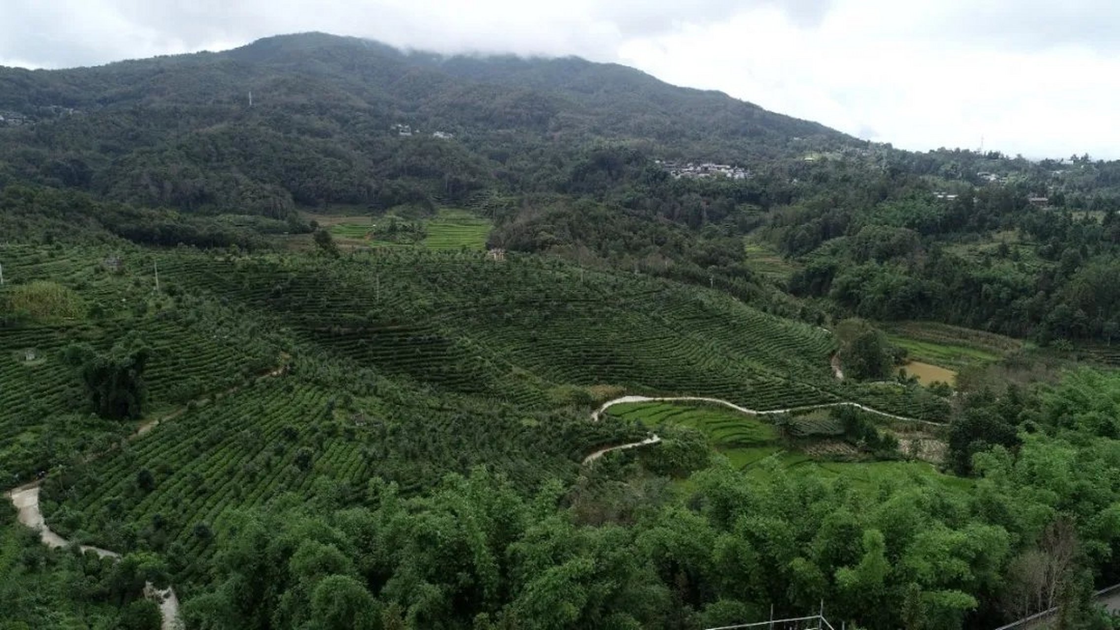 腾冲蒲川乡山清水秀人杰地灵,劳累一天的我在蒲川瞬间感觉自愈了"吾