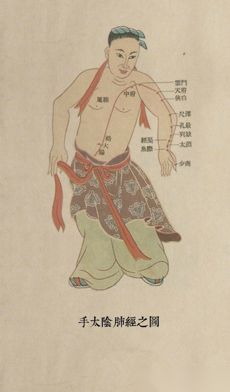 【很全的十二经脉图】手三阴经:(手太阴肺经,手厥阴心包经,手少阴心经