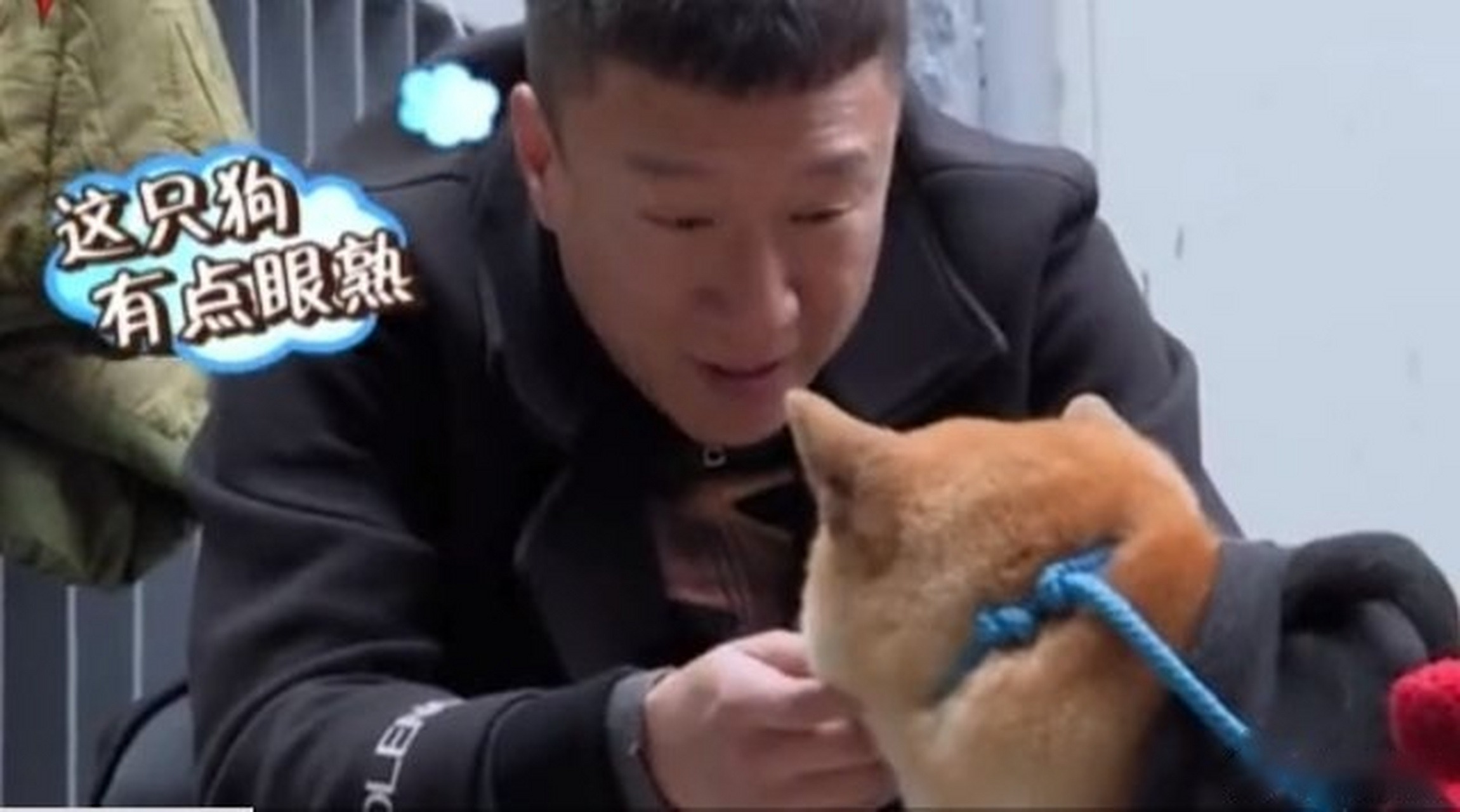 极限挑战孙红雷遇神似黄渤的柴犬,整个人找到模糊.