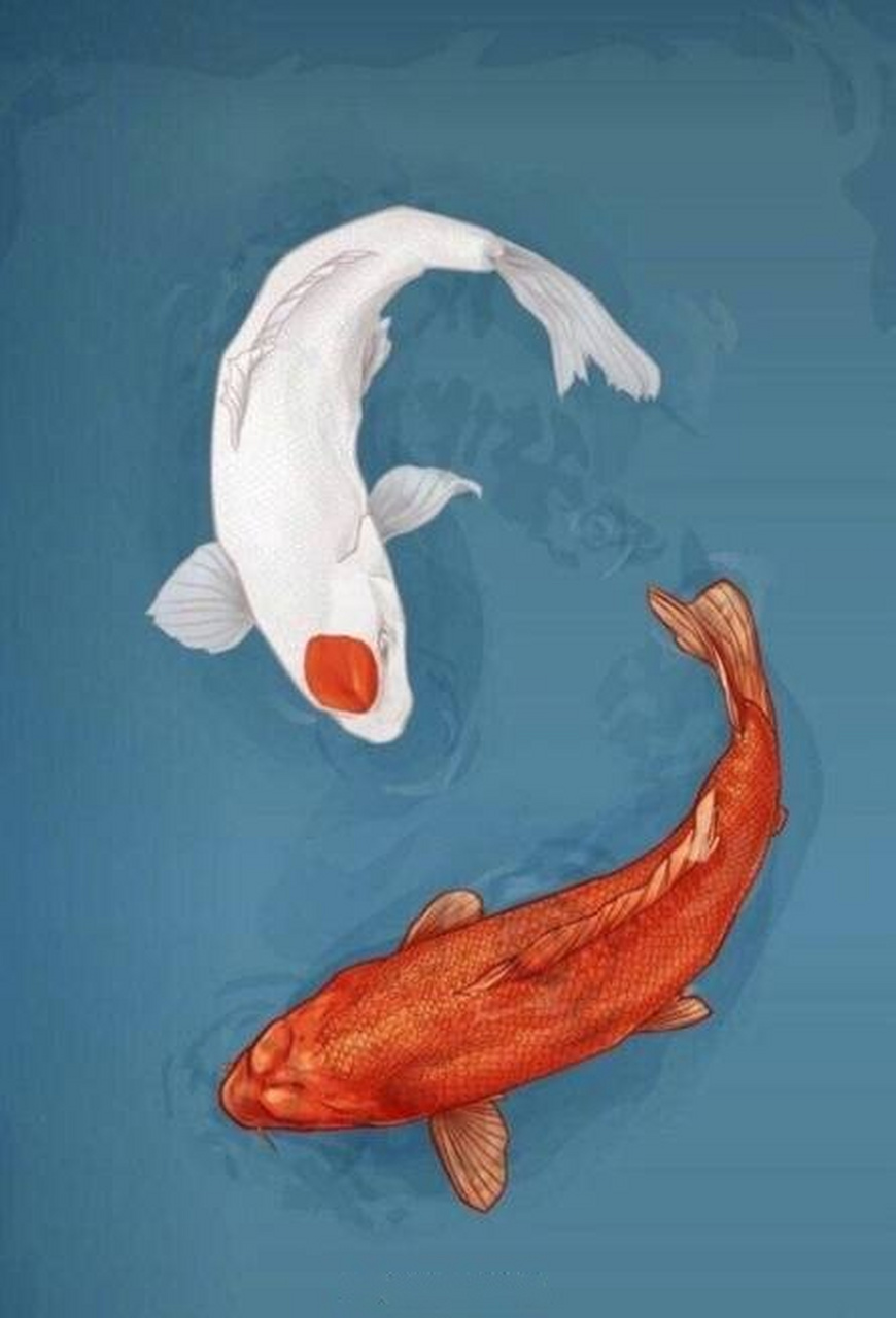 日常迷信,七月的第四天,转发这两条好运锦鲤,一整月都会好运连连!