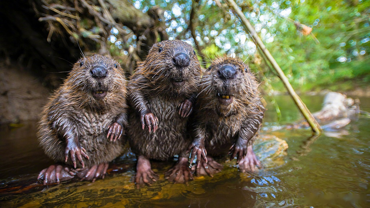 每周二上午10点,腾讯视频纪录片全网独播!