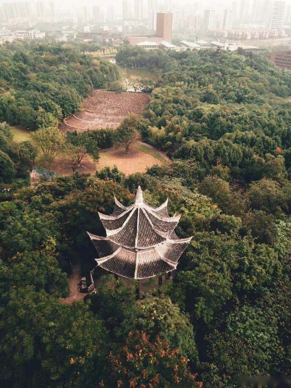 再来一波高校美图】你想不想与大学的秋天来场美丽的邂逅,再不缓不急