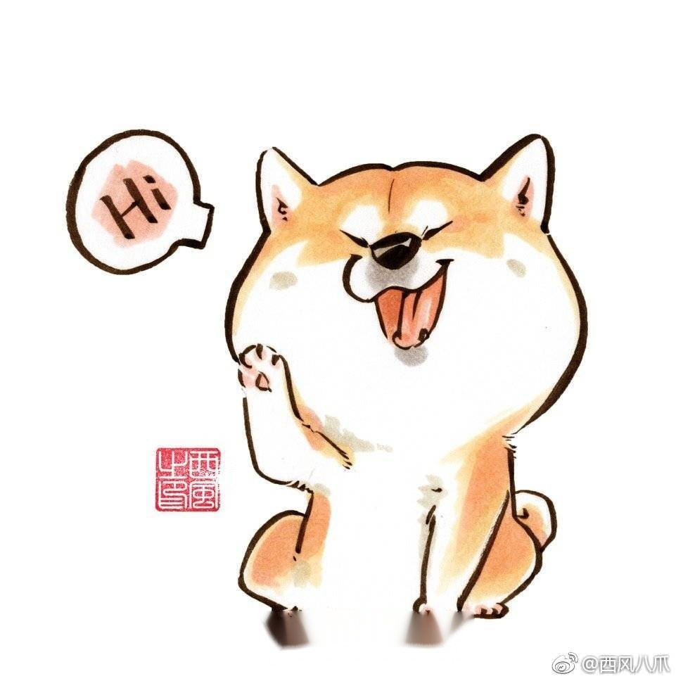 这件事我没有告诉我媳妇小o,但决定先告诉你们…我认识了一只可爱的柴