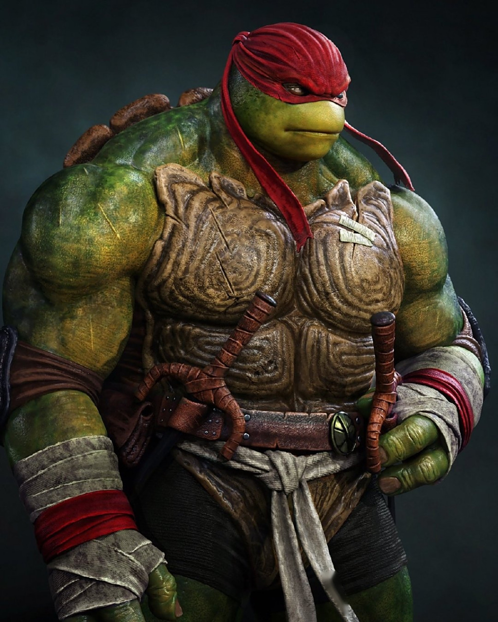 忍者神龟# teenage mutant ninja turtles - created by raf