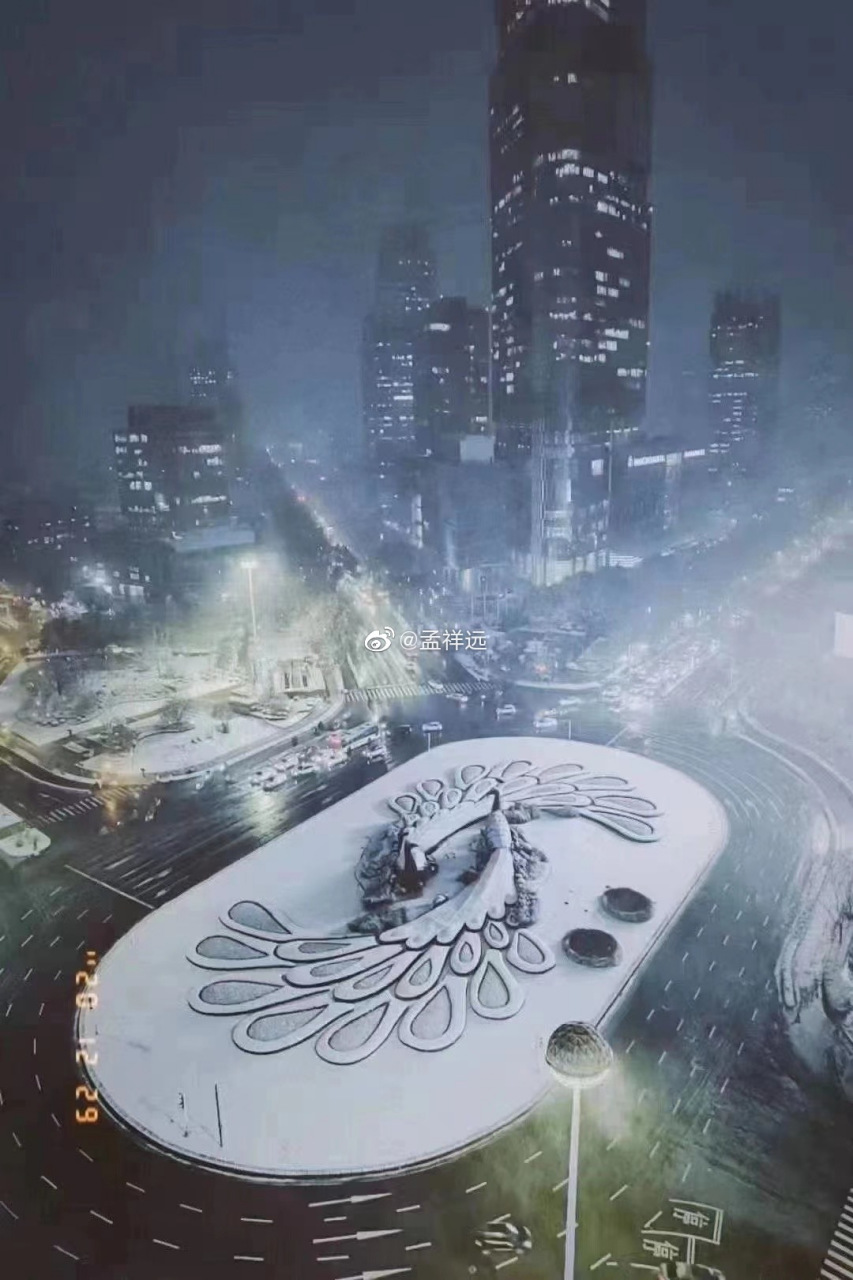 鼓楼广场,两只雄孔雀,在雪地里深情凝望. 体感零下16度,很冷了!