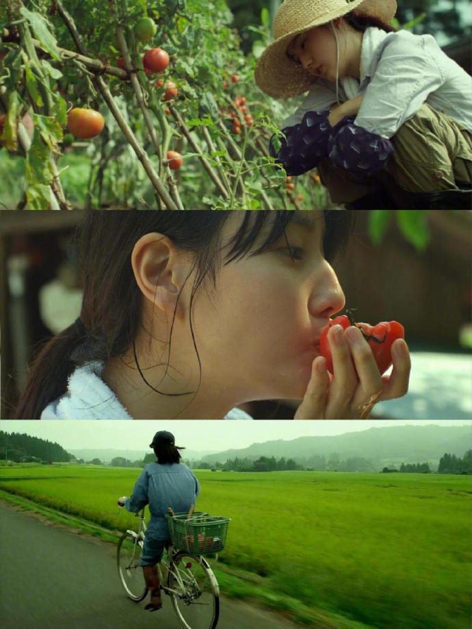 九部夏日高分电影:那些发生在夏天的美好故事~ 1,《请以你的名字呼唤