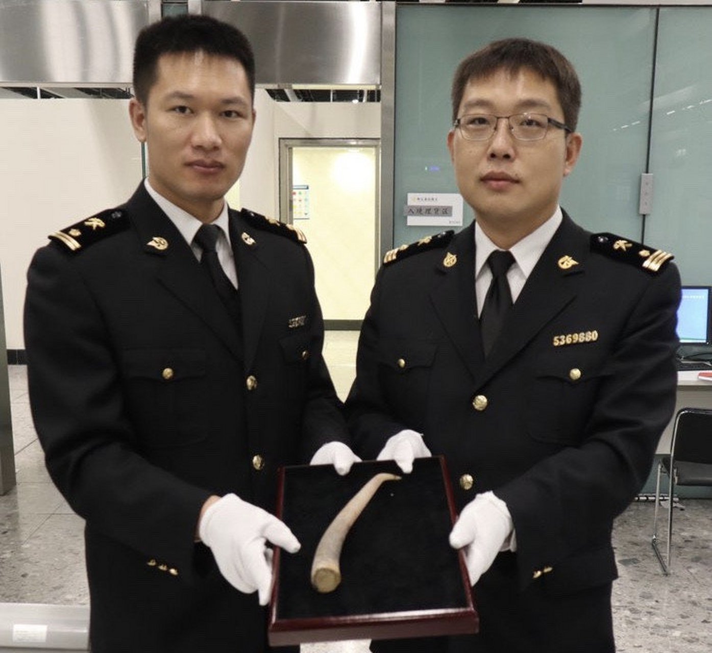 【西九龙站海关查获旅客携带赛加羚羊角入境】11月26日,经鉴定,深圳