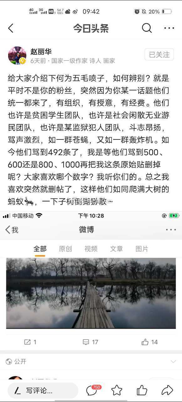 赵丽华涉嫌公开造谣