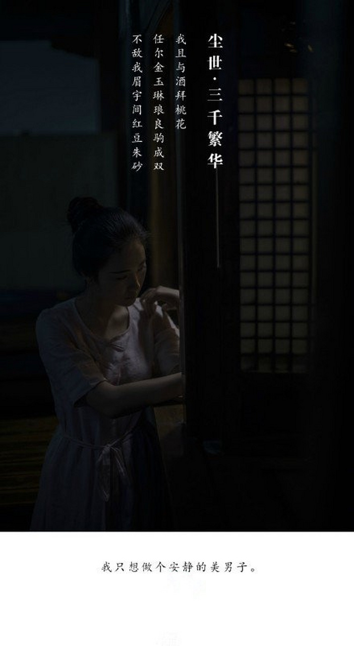 网络用语:"我也是醉了","我只想做个安静的美男子","帮助汪峰上头条