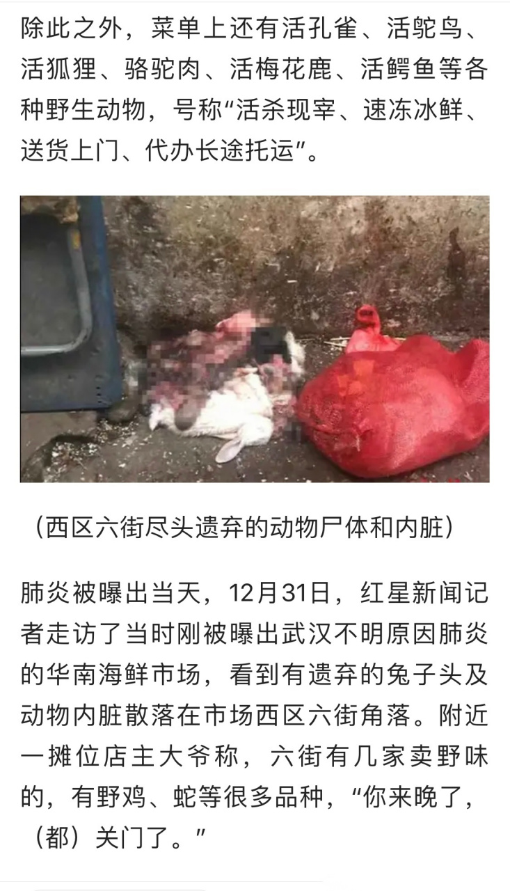 【武汉华南海鲜市场野味店菜单曝光:活杀现宰活獾,竹鼠,果子狸】  这
