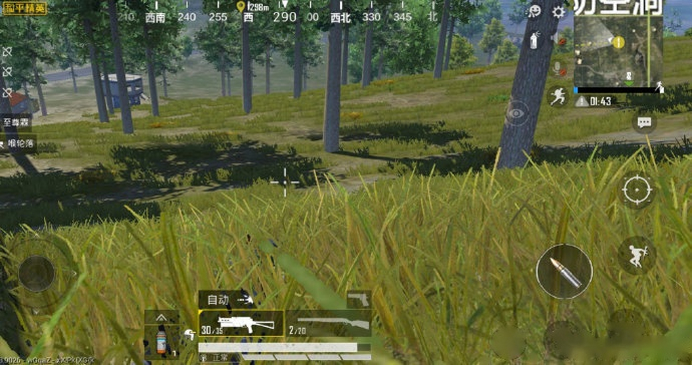 身为和平第一"草地王"