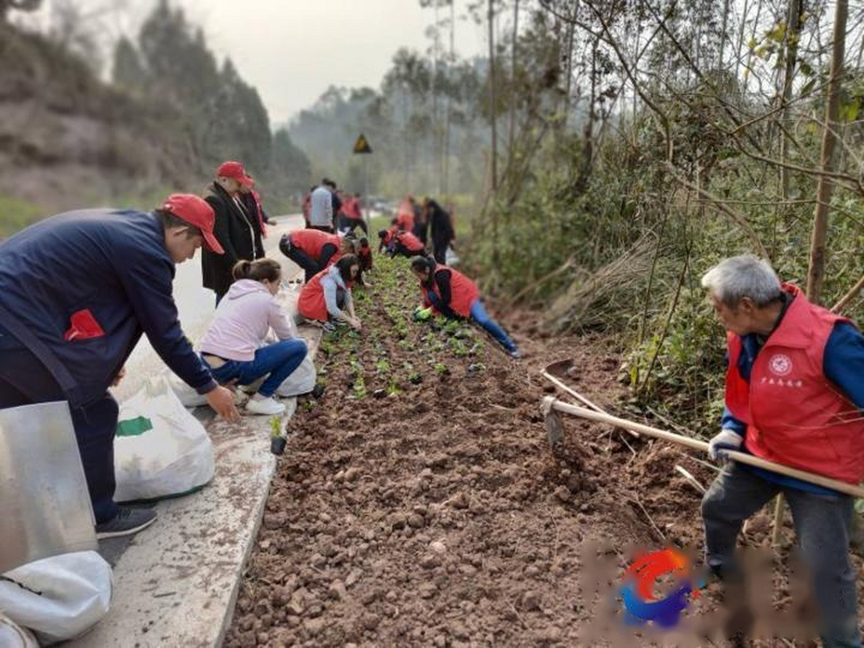 【铜梁少云镇:最是一年春光好 栽花种草美家园】近日,天气晴好,新绿初