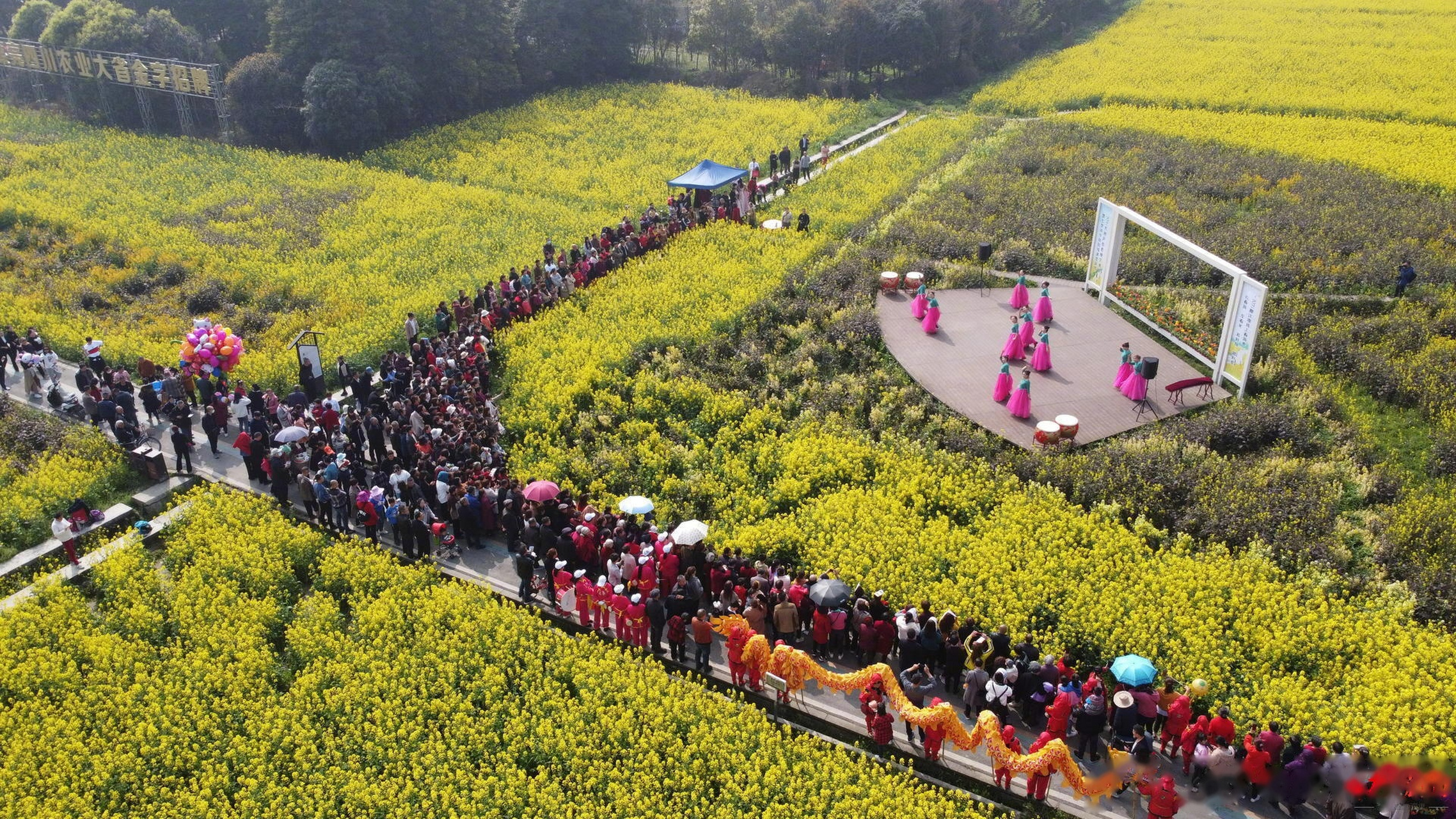 成都#都江堰菜花节开幕】3月13日,都江堰市线上春游季暨七里诗乡刀