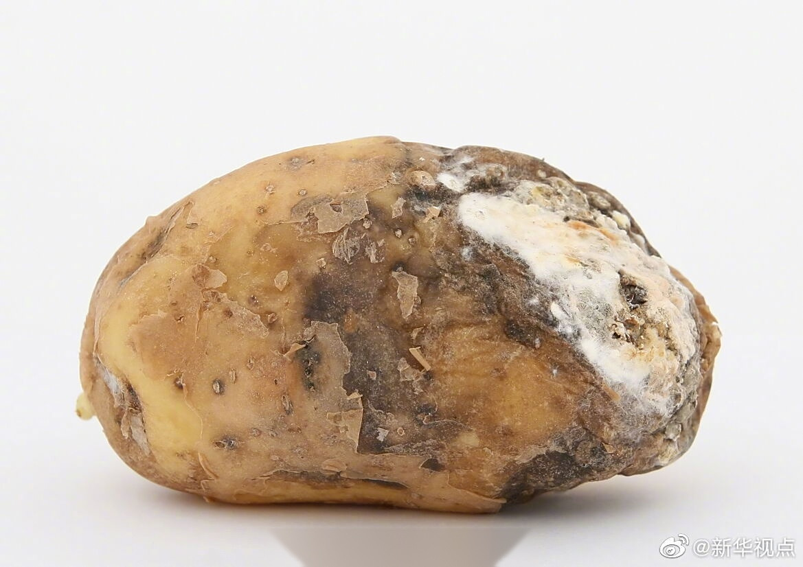 上,国家癌症中心副主任,中国医学科学院肿瘤医院副院长蔡建强提醒公众