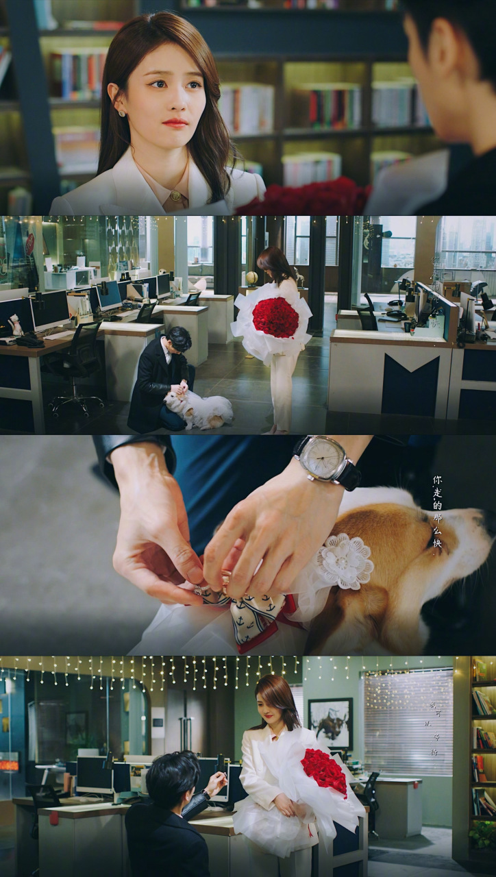 "  画面感太强了. 但不知道为什么,突然酸酸的.