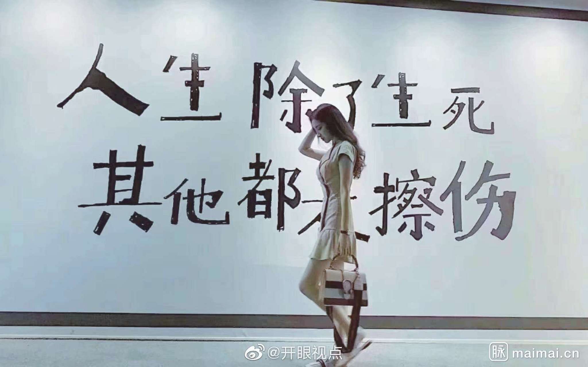 人生使命的一句话怎么说的(人生使命的意思)