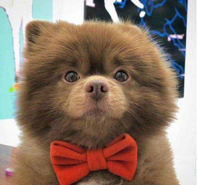 这是一个超级暖心的故事,也是一个超级欢乐的故事