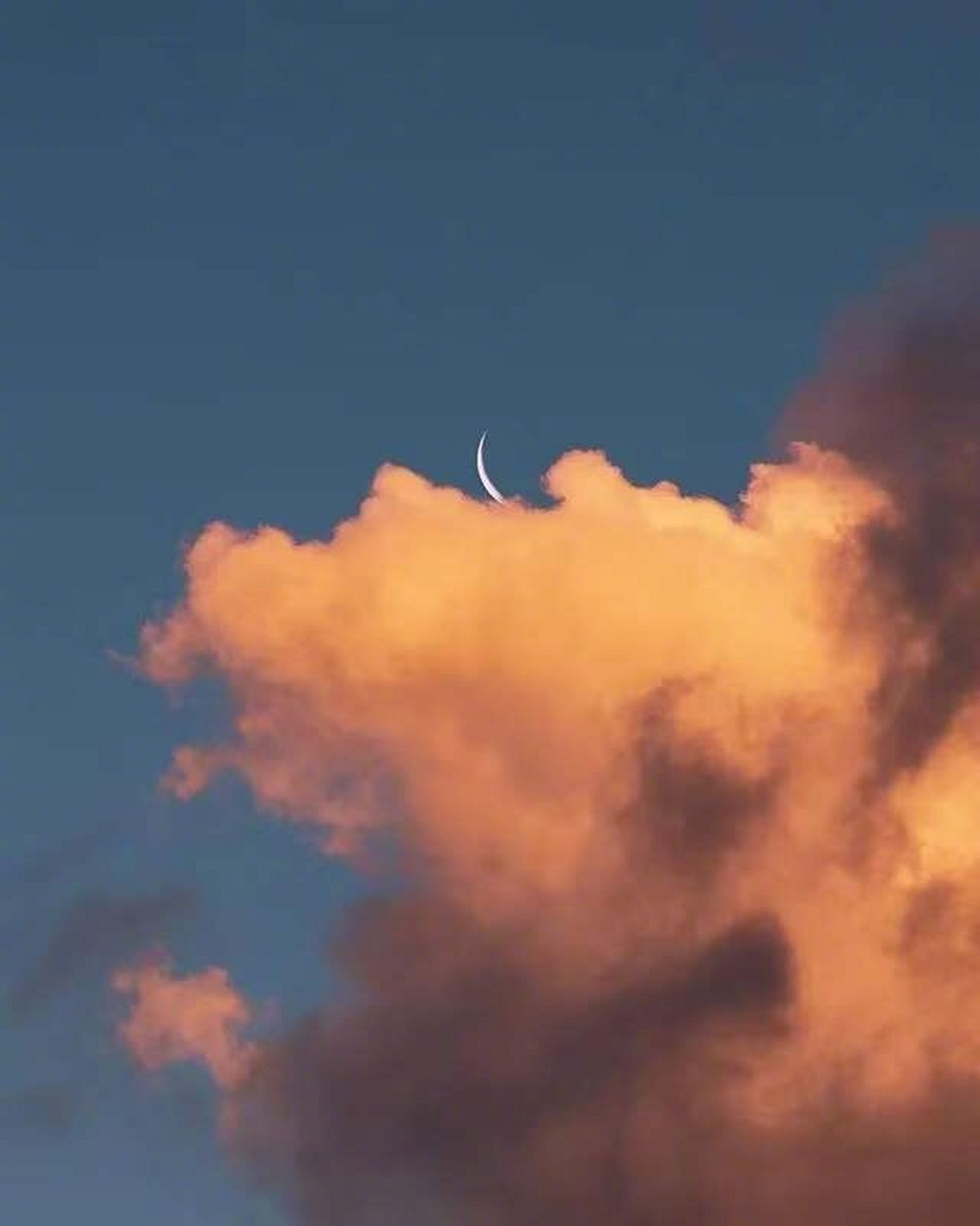 加拿大摄影师sophia ahamed热衷于从自然界汲取灵感,在其镜头中常常会