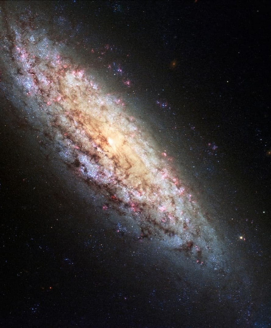 ngc 6503又被称为"失落的星系".