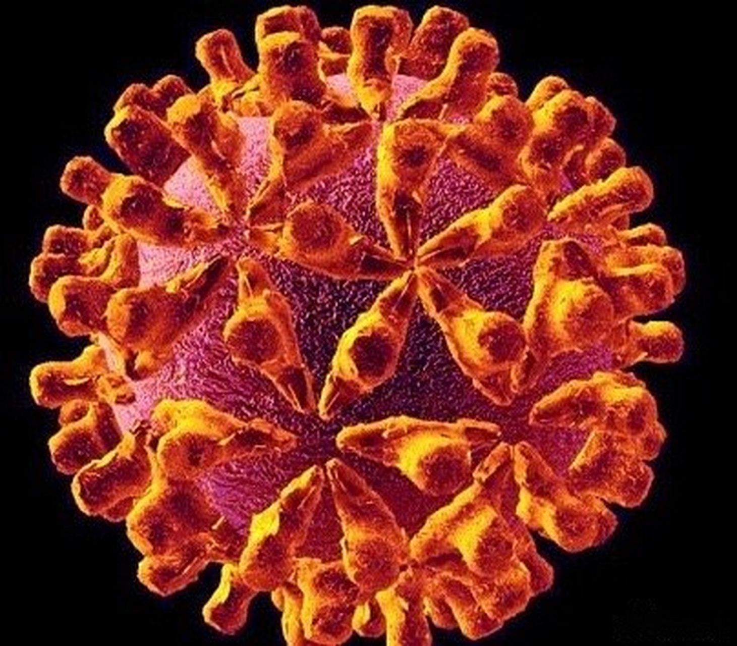 【"狂删文件"蠕虫病毒近期还将发作】国内多家安全公司13日都检测到臭