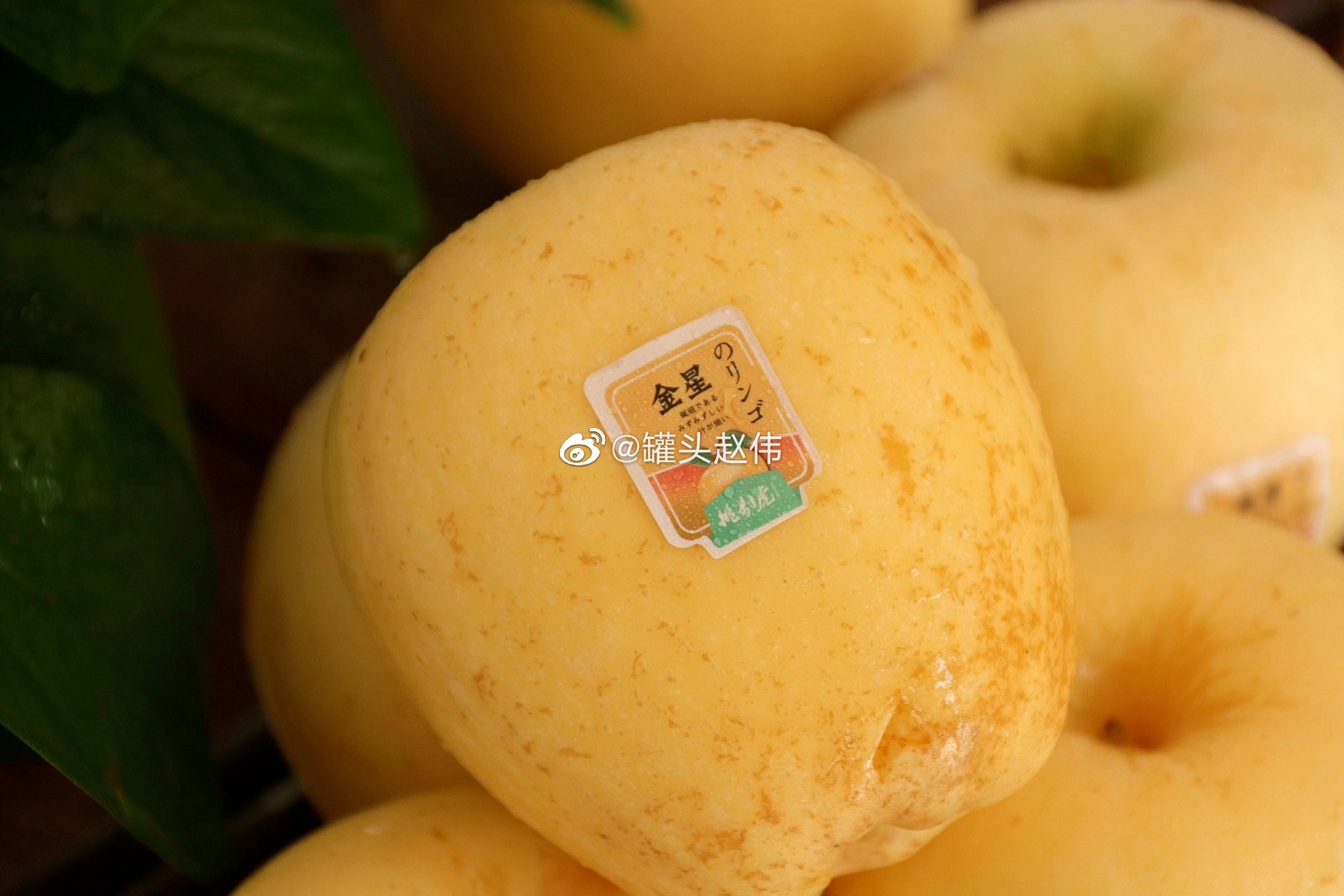 挑剔虎维纳斯金星苹果 苹果的味道,却有香蕉牛奶的香滑