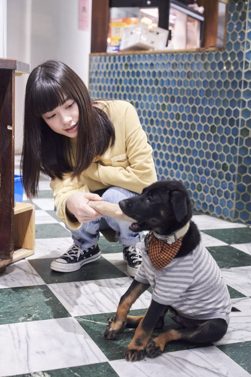 姚爱甯;【环保女孩姚爱寗拍戏启动宠物沟通直觉力 成功解密"兔子心