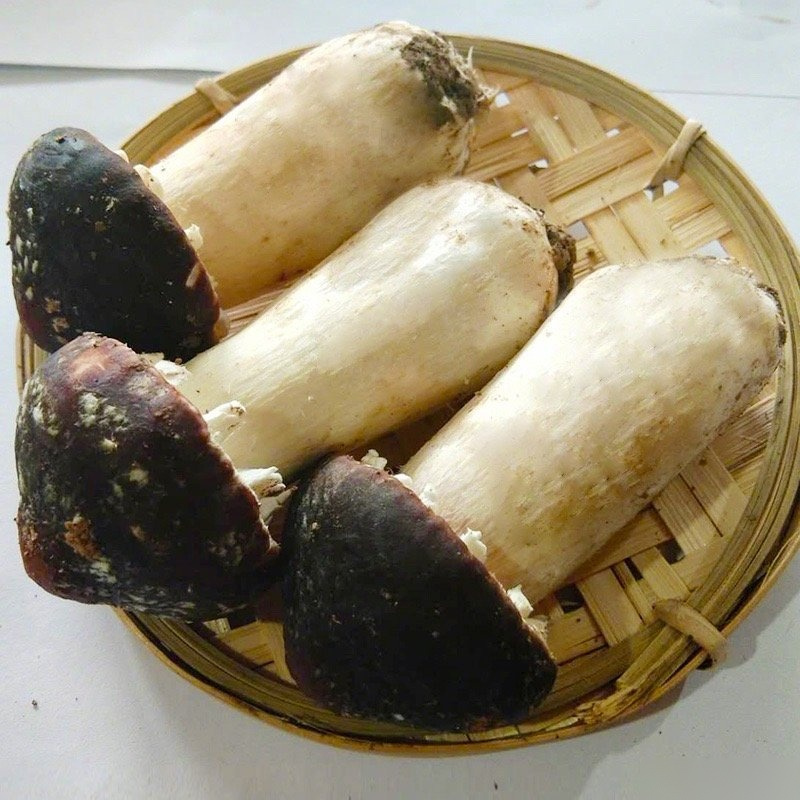 学名大球盖菇,又名皱环盖菇,酒红球盖菇,俗称益肾菇,粗腿蘑.