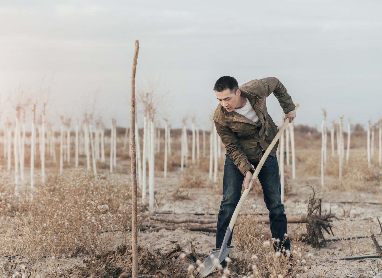 公益和胡歌锁得紧紧的,在土地沙漠化的g7公路沿线额济纳旗植树造林是