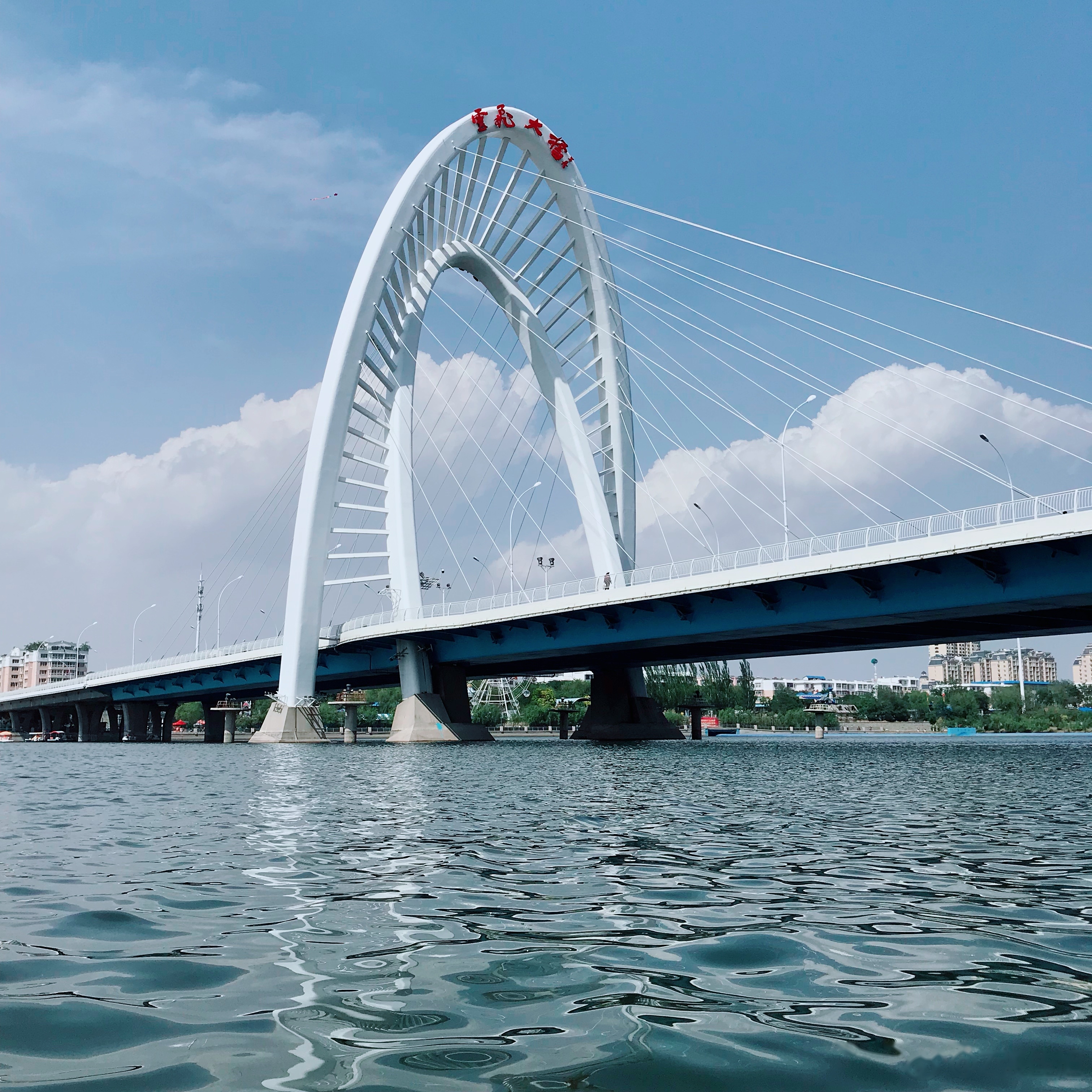 锦州南大桥图片