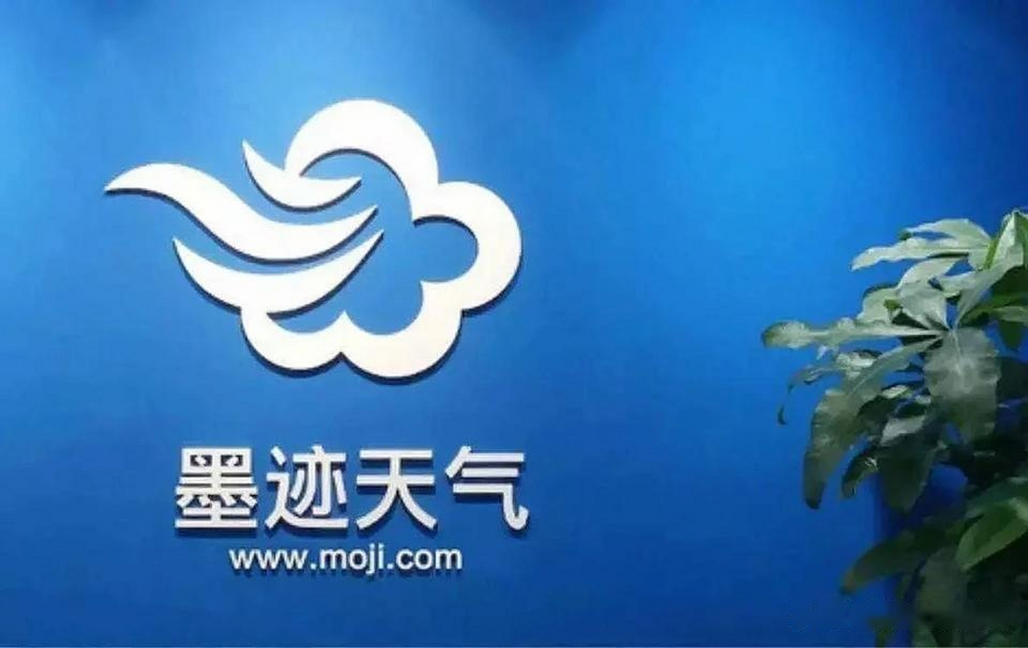 云短信接码软件是什么软件下载的呢